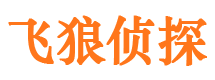 市中区飞狼私家侦探公司